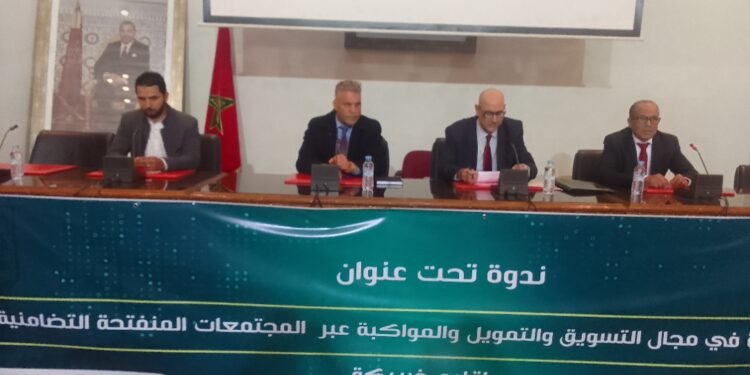 ندوة حول الفرص الجديدة في مجال التسويق والتمويل والتكوين عبر المجتمعات المنفتحة التضامنية الرقمية